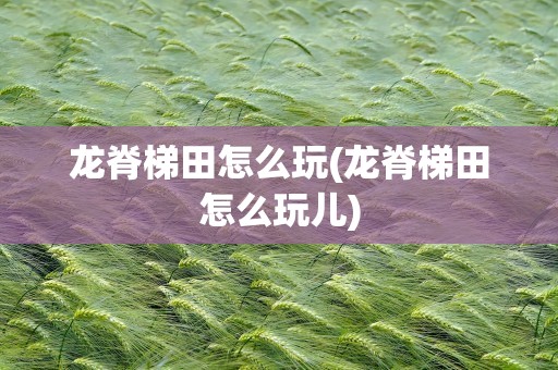 龙脊梯田怎么玩(龙脊梯田怎么玩儿)