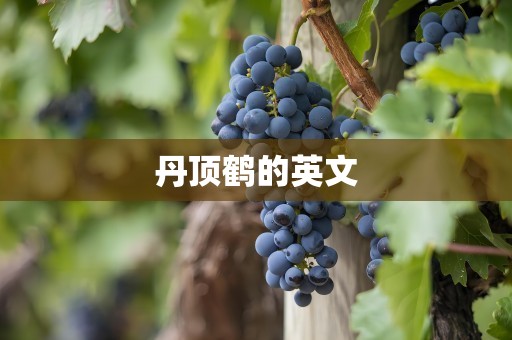 丹顶鹤的英文