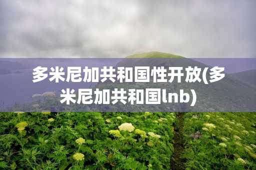 多米尼加共和国性开放(多米尼加共和国lnb)