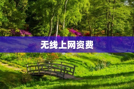 无线上网资费