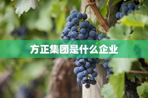 方正集团是什么企业