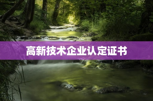 高新技术企业认定证书