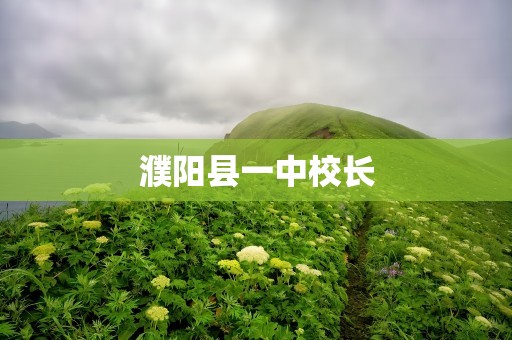 濮阳县一中校长