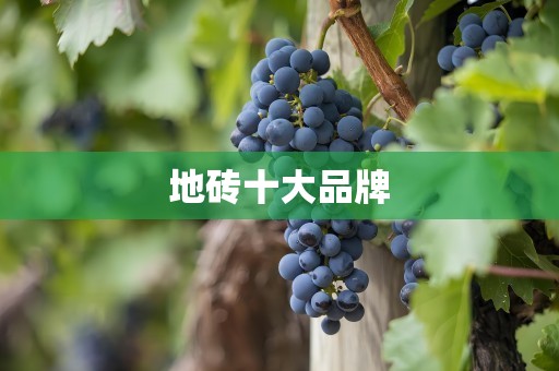 地砖十大品牌