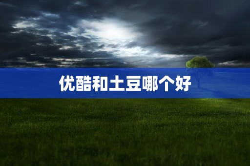 优酷和土豆哪个好