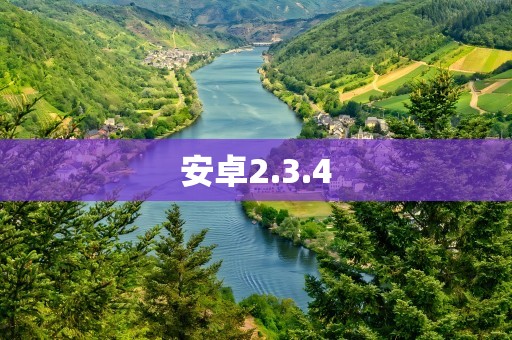 安卓2.3.4