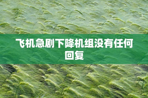 飞机急剧下降机组没有任何回复
