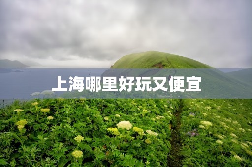 上海哪里好玩又便宜