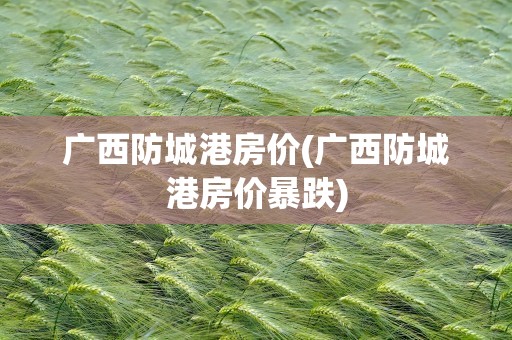 广西防城港房价(广西防城港房价暴跌)