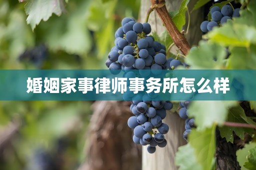 婚姻家事律师事务所怎么样
