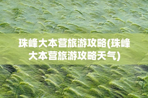 珠峰大本营旅游攻略(珠峰大本营旅游攻略天气)