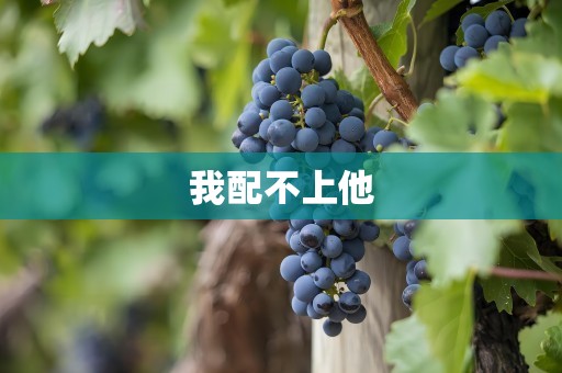 我配不上他