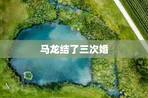 马龙结了三次婚