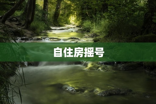 自住房摇号