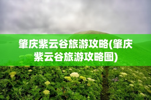 肇庆紫云谷旅游攻略(肇庆紫云谷旅游攻略图)