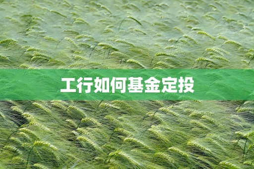 工行如何基金定投