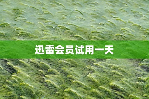 迅雷会员试用一天