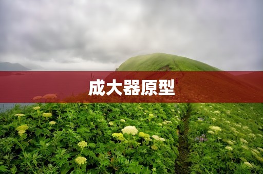 成大器原型