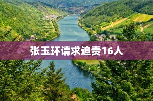 张玉环请求追责16人