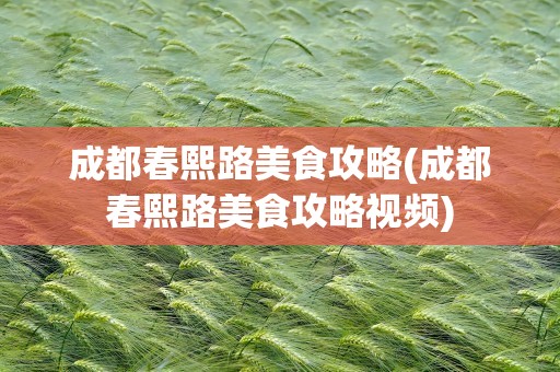 成都春熙路美食攻略(成都春熙路美食攻略视频)