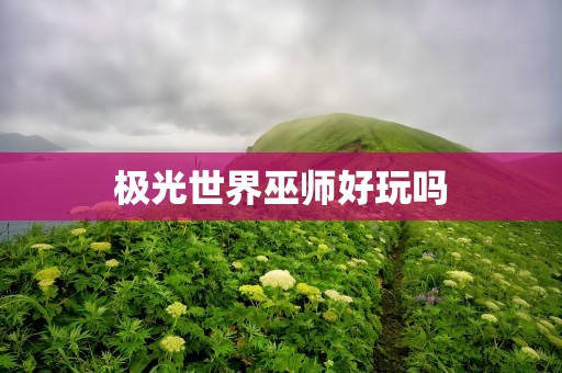 极光世界巫师好玩吗