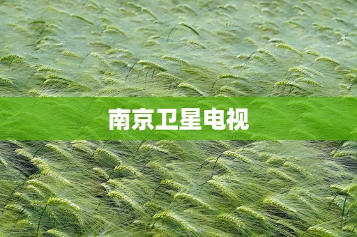 南京卫星电视