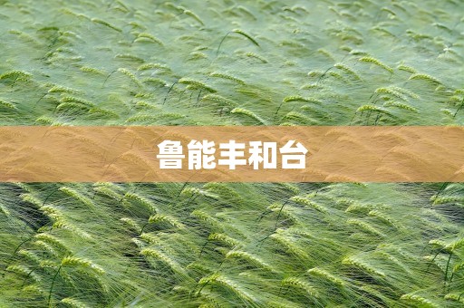 鲁能丰和台