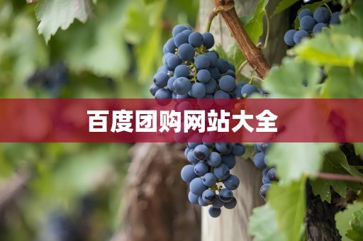 百度团购网站大全