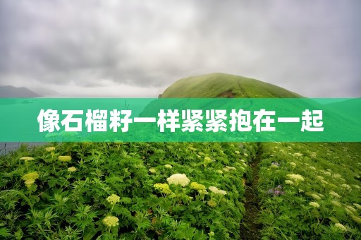 像石榴籽一样紧紧抱在一起