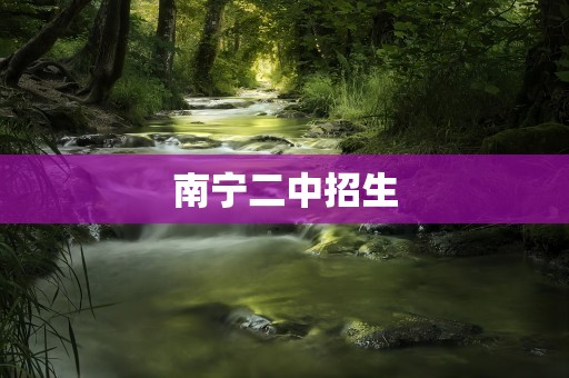 南宁二中招生