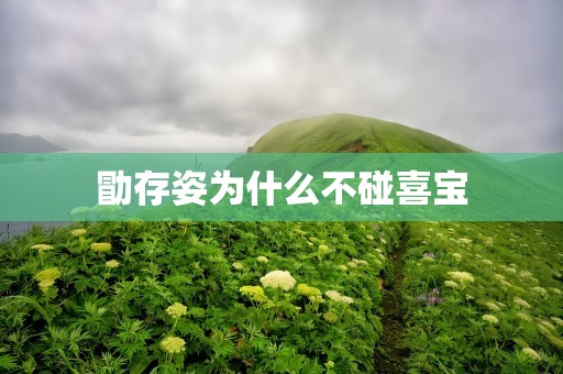 勖存姿为什么不碰喜宝