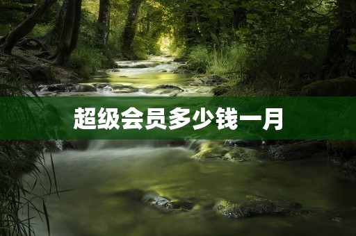 超级会员多少钱一月
