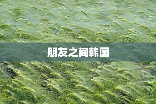 朋友之间韩国