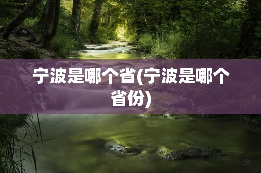宁波是哪个省(宁波是哪个省份)