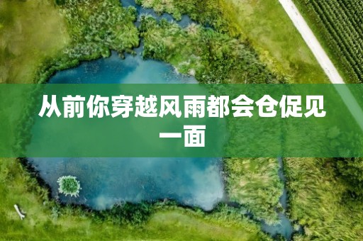 从前你穿越风雨都会仓促见一面