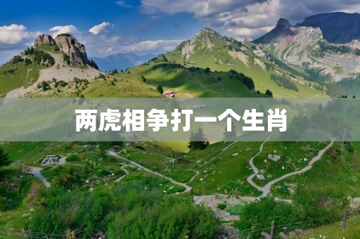 两虎相争打一个生肖