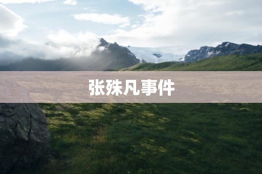 张殊凡事件