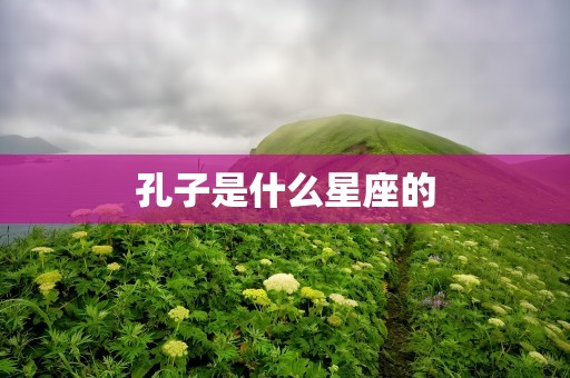 孔子是什么星座的