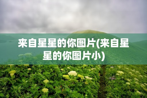 来自星星的你图片(来自星星的你图片小)