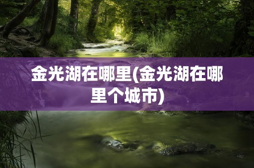 金光湖在哪里(金光湖在哪里个城市)