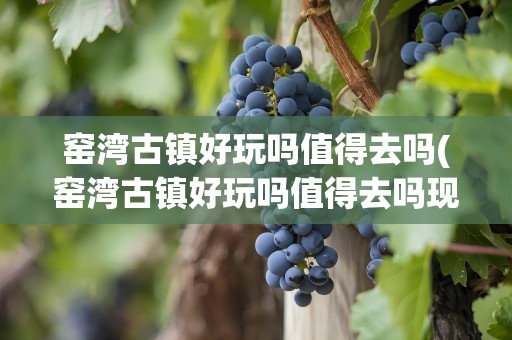 窑湾古镇好玩吗值得去吗(窑湾古镇好玩吗值得去吗现在)