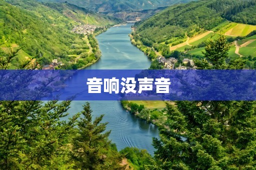 音响没声音