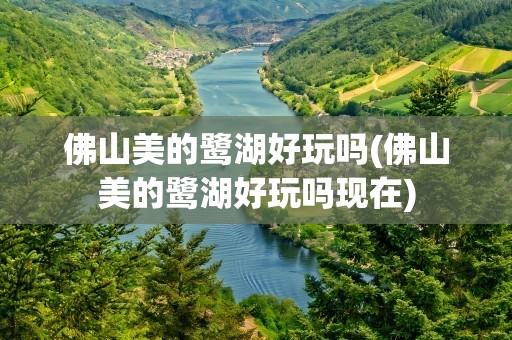 佛山美的鹭湖好玩吗(佛山美的鹭湖好玩吗现在)