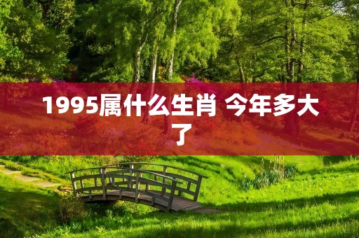 1995属什么生肖 今年多大了