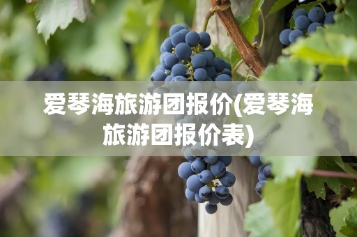 爱琴海旅游团报价(爱琴海旅游团报价表)