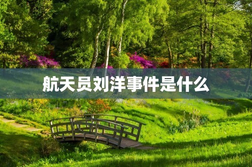 航天员刘洋事件是什么