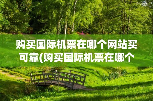 购买国际机票在哪个网站买可靠(购买国际机票在哪个网站买可靠呢)