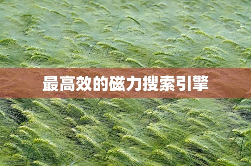 最高效的磁力搜索引擎
