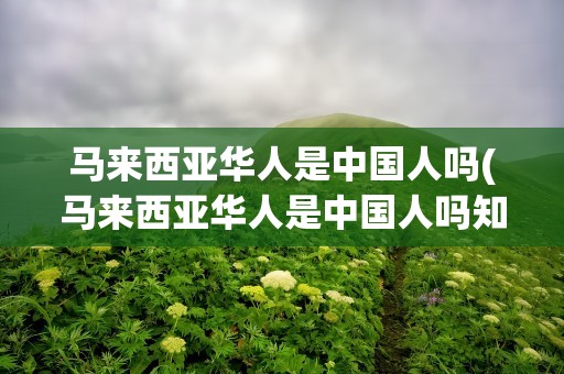 马来西亚华人是中国人吗(马来西亚华人是中国人吗知乎)
