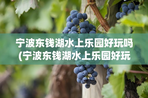 宁波东钱湖水上乐园好玩吗(宁波东钱湖水上乐园好玩吗现在)